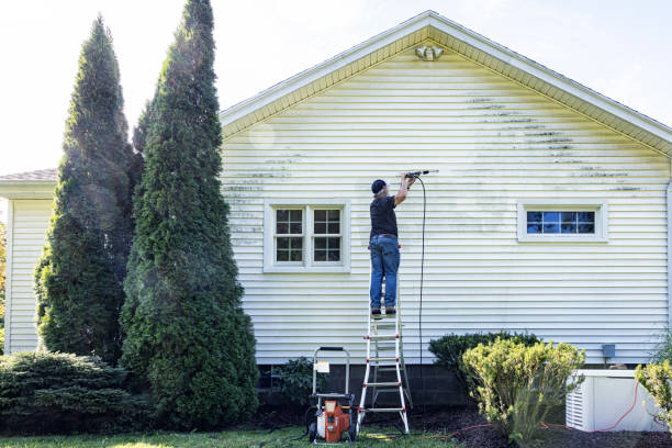 Professional Pressure washing in Stockton, IL